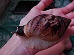 DSC03806
