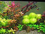 IMG 7753