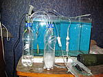 IMG 4504