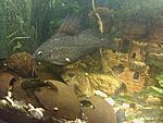 IMG 20141101 183647