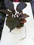 20141031 113638