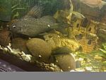 IMG 20141101 183721