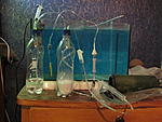 IMG 4505