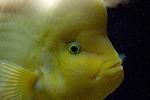 20141108 IMG 5065