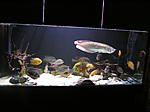 P1010002