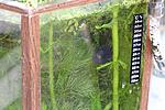IMG 6082
