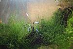 IMG 6067