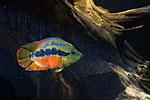 20140907 IMG 5020