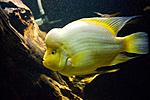 20141108 IMG 5063