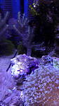 IMG 20141119 185732 (1)