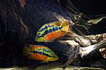 20140907 IMG 5024