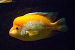 20141108 IMG 5069