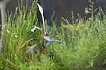 IMG 6077