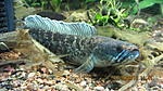 IMG 3362[1]