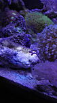 IMG 20141119 185708
