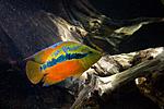 20140907 IMG 5016