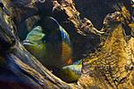 20140907 IMG 5010