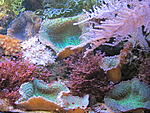 IMG 4228