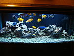 DSC06858