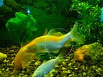 IMG 20141125 095120