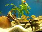 IMG 20141125 221532