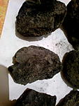 2014 12 02 5217