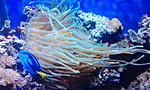 IMG 20141130 165031