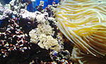 IMG 20141129 165307