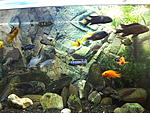 DSCF2466