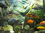 DSCF2476