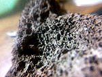 2014 12 13 5361