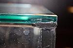 IMG 5245