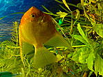 IMG 20141206 021115