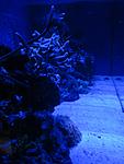 IMG 4817