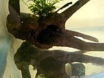 IMG 20141222 213334[1]