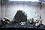 IMG 1608 s