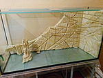 IMG 20141116 171546