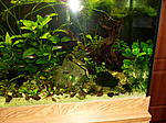 DSCF1401
