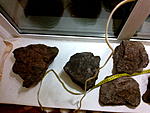 2014 12 20 5444