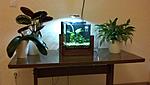 IMG 20141121 225305 367