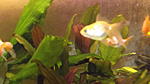 DSCF3642