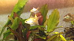 DSCF3643