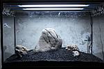 IMG 1599 s