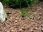 IMG 20141229 184946