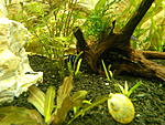 IMG 20141222 154620[1]