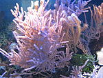 IMG 4177