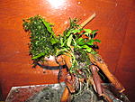 IMG 4697