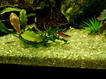 DSCF1408
