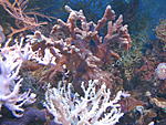 IMG 4172