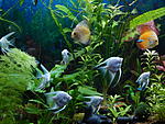 DSCN0950
